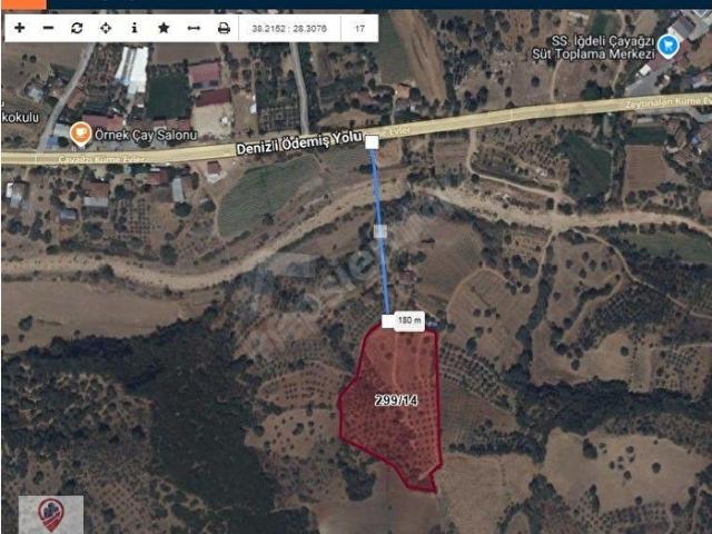 İzmir Kiraz Çayağzı'nda Anayola Yakın 12.566 m2 300 Zeytin 25 İncir Ağaçlı Satılık Tarla