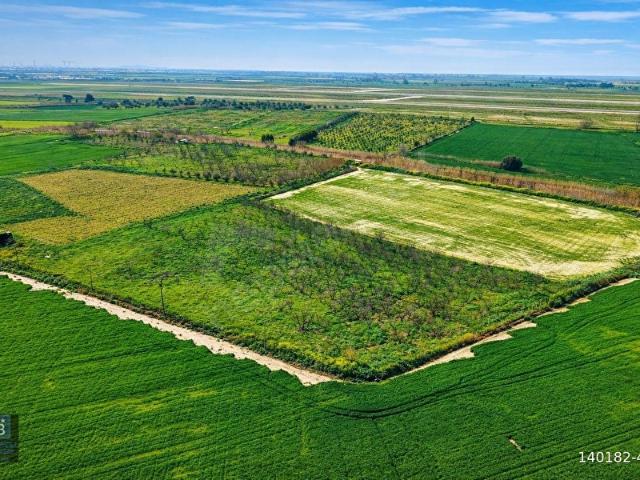 İzmir Çiğli Kaklıç'ta 10.200 m2 Satılık Tarla