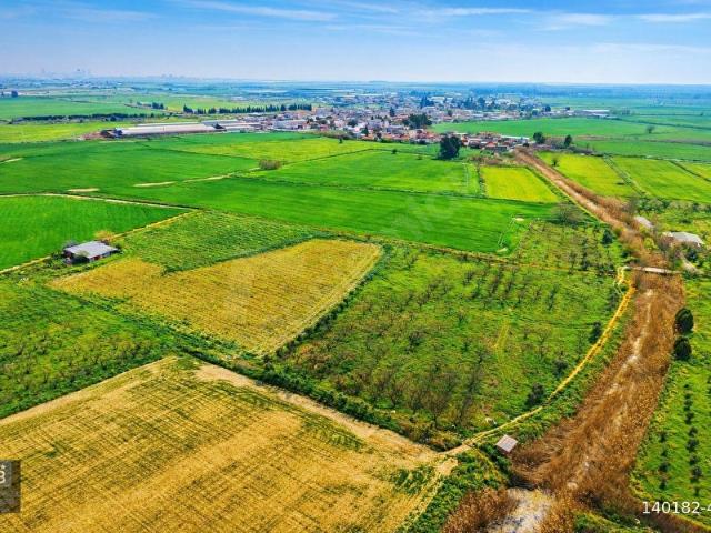 İzmir Çiğli Kaklıç'ta 24.400 m2 Kiralık Tarla