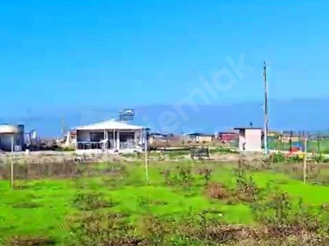İzmir Ödemiş Konaklı mah. SATILIK Çiftlik