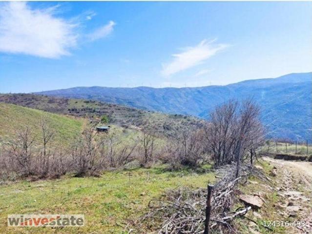 İzmir Ödemiş'te 32.384 m Satılık Tarla