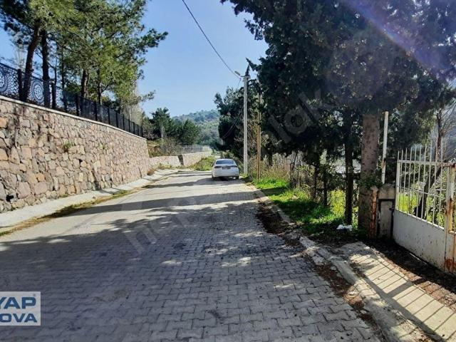 İzmir Manisa Yolu Üzerinde Sarnıç Kavşağında 516m2 Bağ & Bahçe