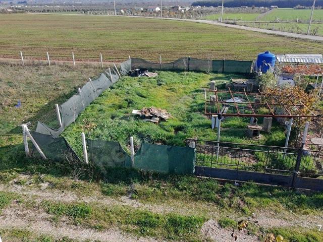 İzmir Menderes Develide 250 m, ElektrikSu Hazır Tapudan Satış