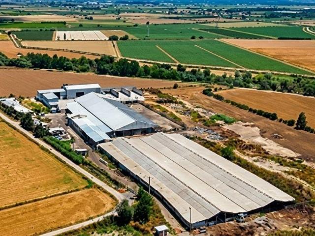 İzmir Menemen Türkelin'de 45.171 m2 Çiftlik