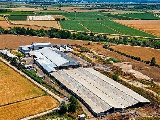İzmir Menemen Türkelin'de 4171 m2 Çiftlik