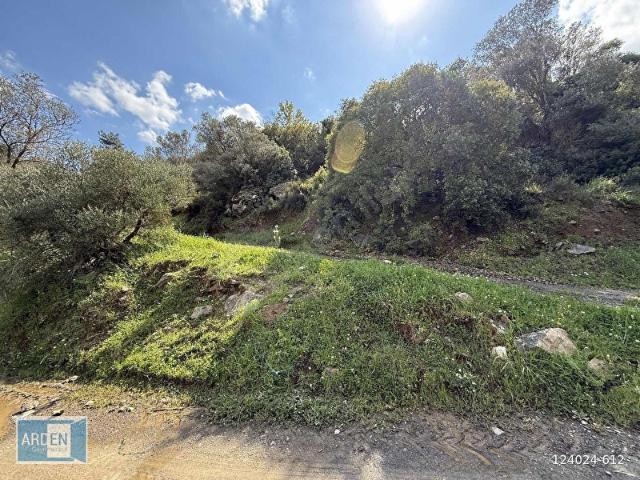 İzmir, S.Hisar Ulamış'ta,13.000 m, 400 Ağaçlı,35 mt Yol Cepheli