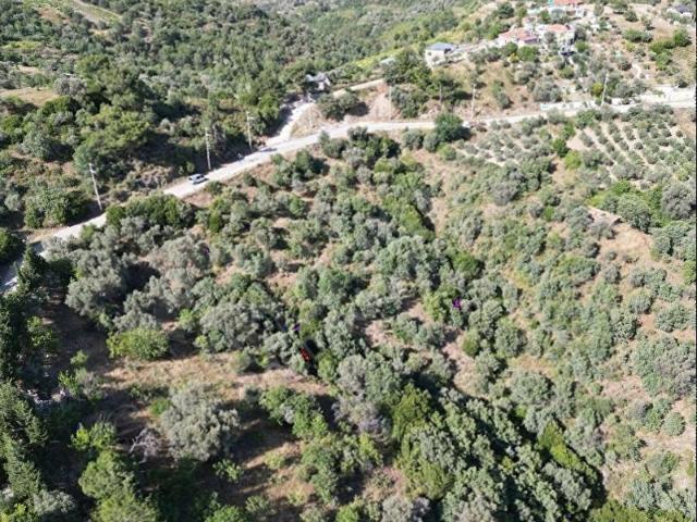 İzmir Seferihisar Gödence de Satılık İmarlı Arsa
