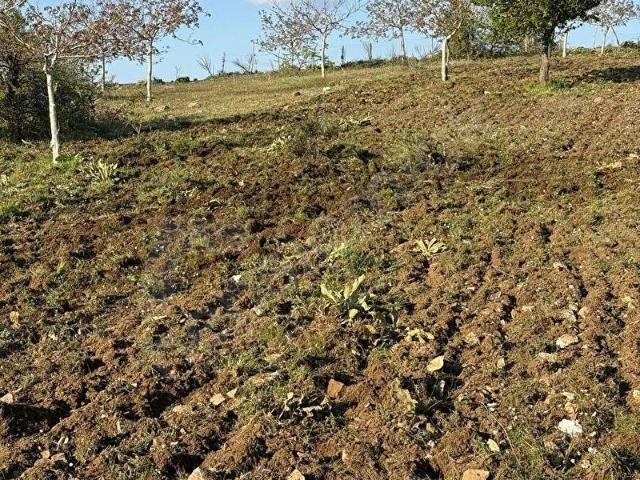 İzmir Tirede Kaçırılmayacak Yatırım Fırsatı 1677 m Bahçe