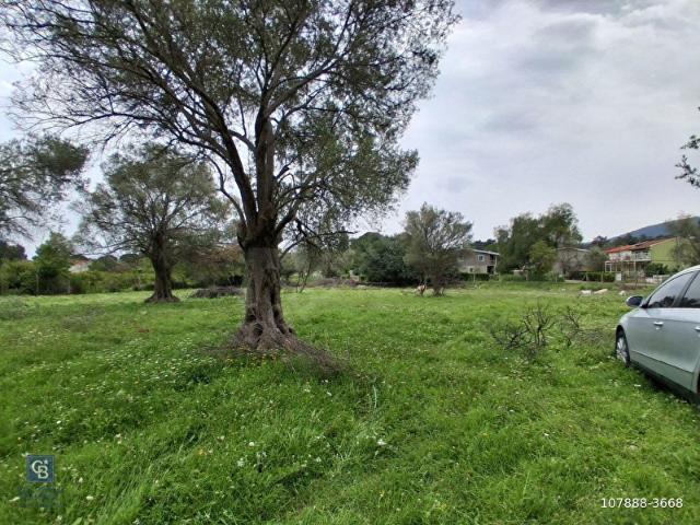 İzmir Urla Çeşmealtı Güvendik Mahnde Eşsiz Yatırım Fırsatı