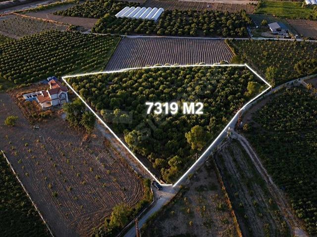 İzmirin Parlayan Yıldızı Emiralem 7319m2 Müstakil Fırsat Arazi