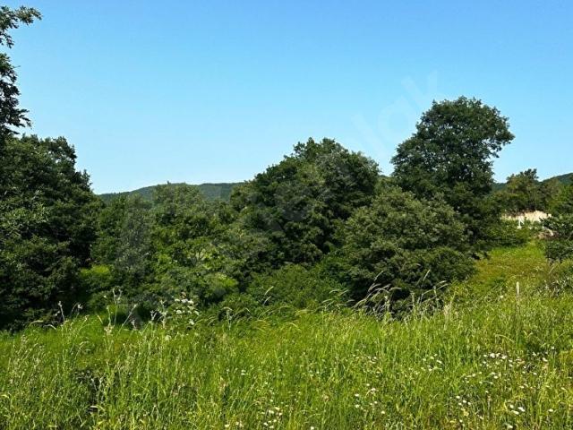 İZNİK DERBENT'TE ÇİFT TAPULU TURİZM İMARLI 9.368m2 SATILIK ARSA