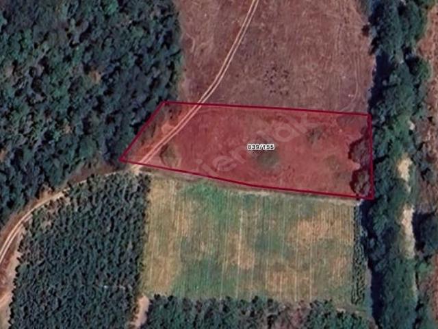 İZNİK GÜRMÜZLÜ DE SATILIK 530 M2 SATILIK YATIRIM TARLASI