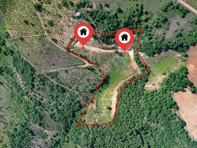 İznik Tacir'de Satılık Göl ve Doğa Manzaralı Tarla