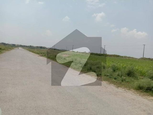I 12/3 Nust Back 25x50 Top Located Plot