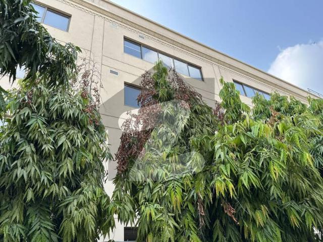 Iconic Corporate Building Office For Rent