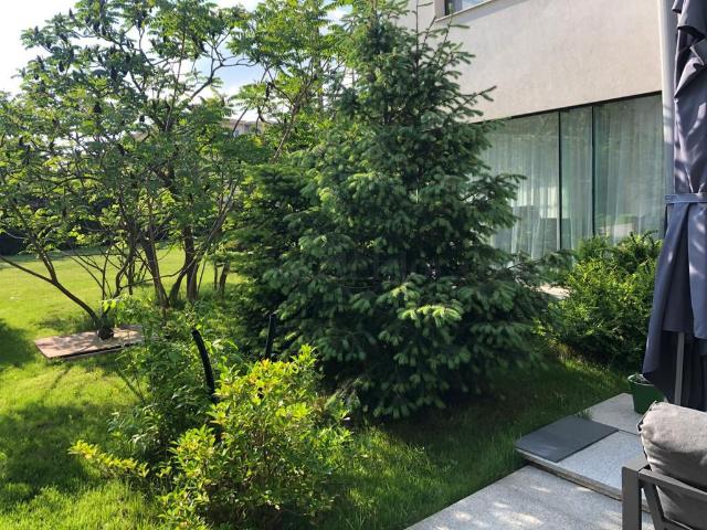 Iancu Nicolae modern individual villa near Cambridge School
