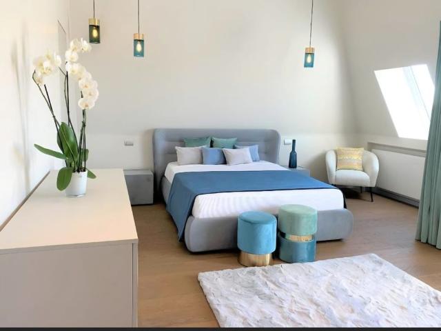 Iancu Nicolae: Penthouse in imobil exclusivist, langa padure!