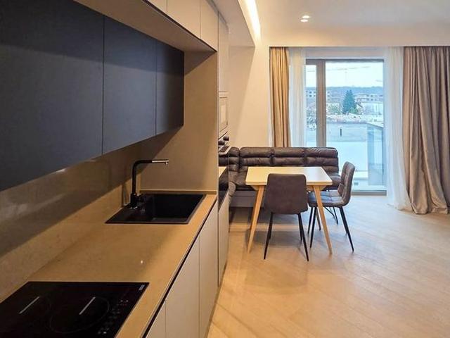 Iancu Nicolae: Studio modern, nou, in ansamblul Cotrina 126 !