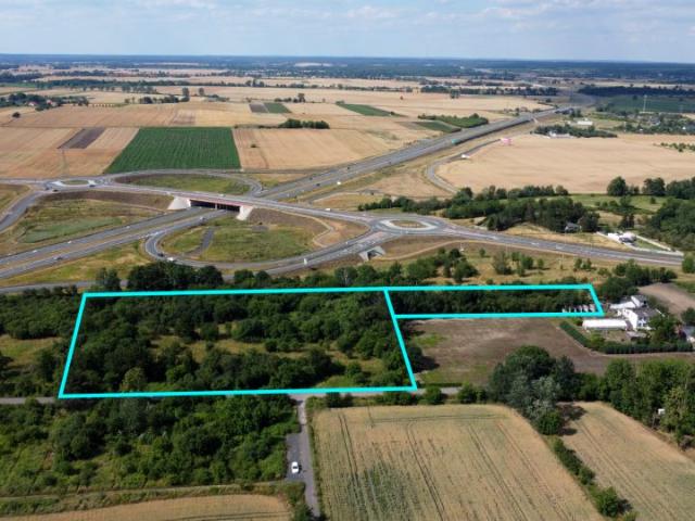 Ignacego Domejki 15 000 m², Legnica