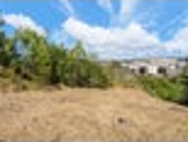 Ignore CV! 1401m² Avondale Land!