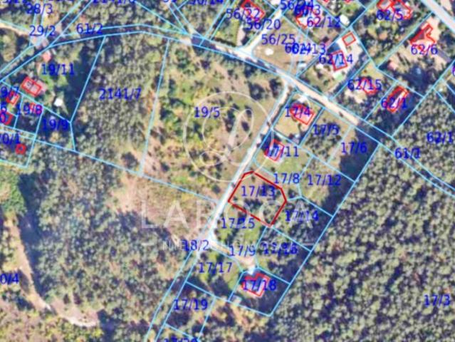 Iglasta 1 087 m², Dzikowo