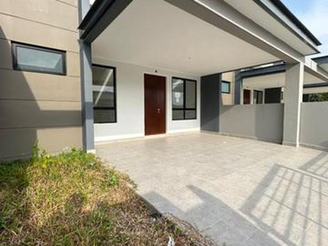 Idaman Hill Aster 42