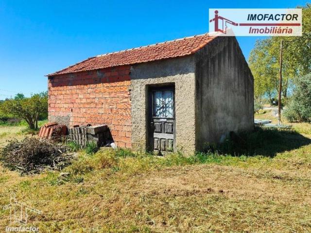 Idanha Castelo Branco 100999632