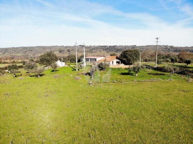 Idanha Castelo Branco 78384726
