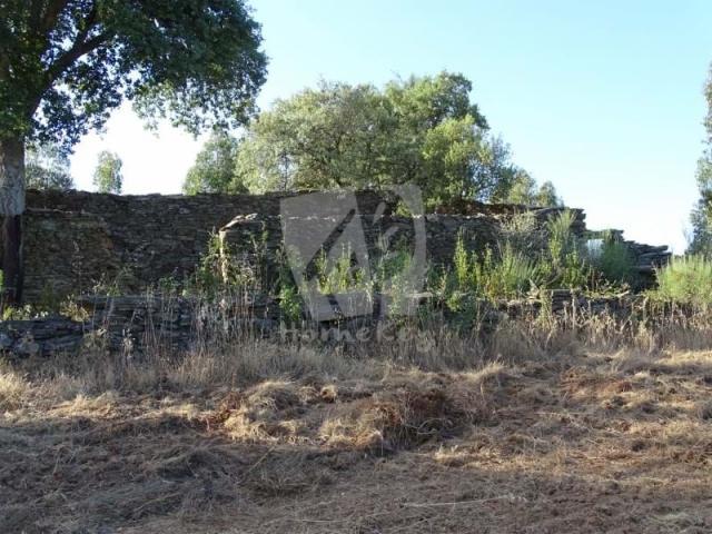Idanha Castelo Branco 78384745