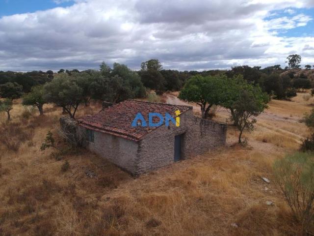 Idanha Castelo Branco 94992235