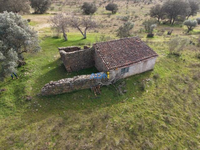 Idanha Castelo Branco 94992235