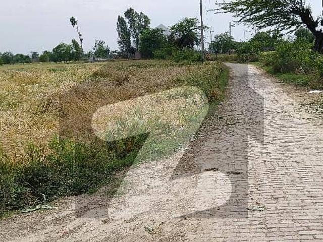 Ideal For Farmhouse Land Or Future Investment Near To Badian Road