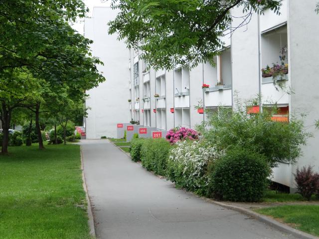 IDEAL für Allergiker! Vollgeflieste 3 Zimmer Wohnung mit Balkon in Kappel