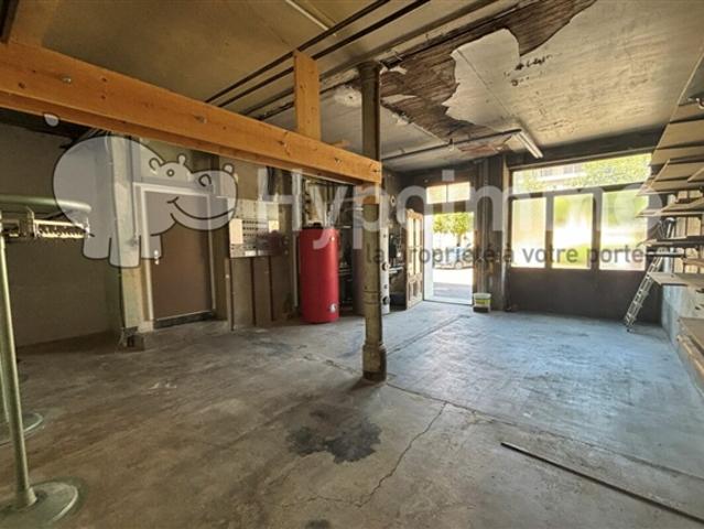 Ideal gelegene Erdgeschosswohnung