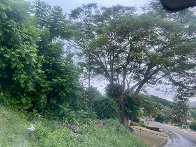 ideal investment land