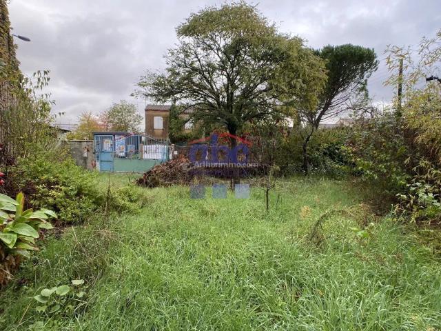 ALBI SUD TERRAIN CONSTRUCTIBLE 450 M2