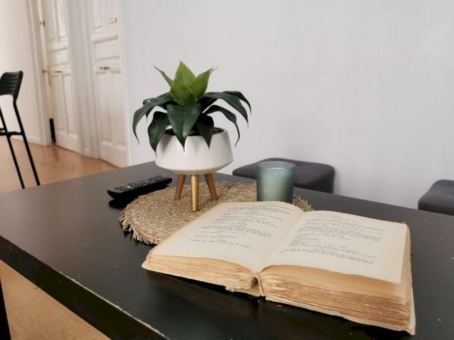 Ideal room located in Preciados