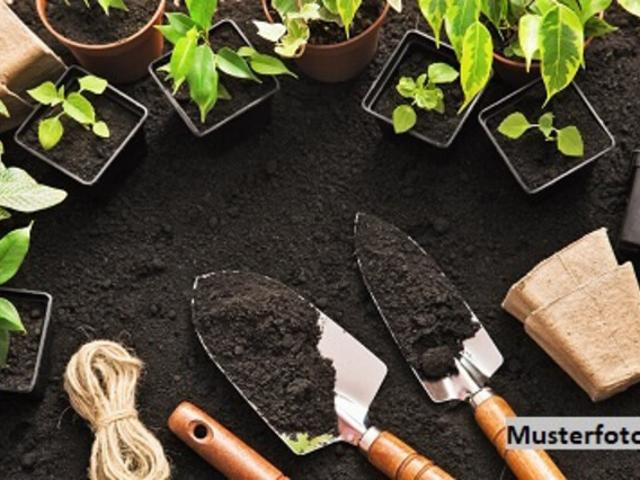 Ideale Kombination: Wohnen, Arbeiten und Natur