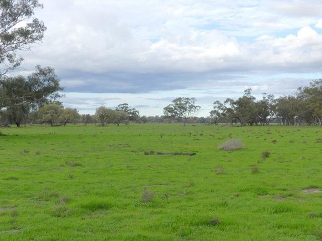 Ideally Located Mixed Farming Property