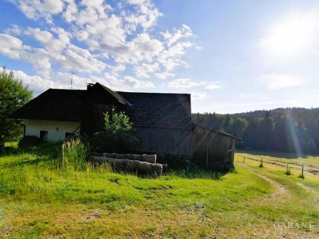 Idylle pur! Bauernhaus sucht Handwerker!