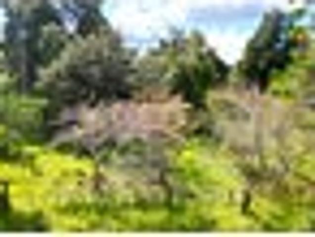 Idyllic Rural Retreat on the WAIMA RIVER side