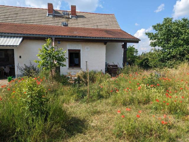 Idyllisch gelegenes Bauernhaus. Perfekt als Wochenend oder Sommerhaus