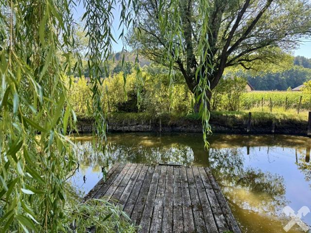 Idyllisch Leben Grundstück mit altem Baumbestand und Teich
