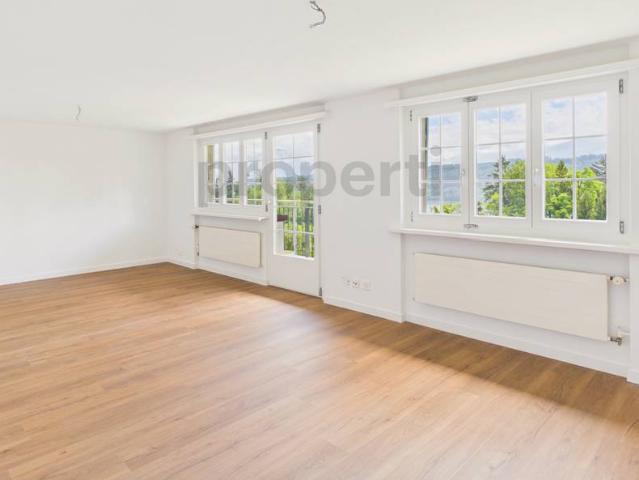 Idyllische 3,5 Zimmer Wohnung mit Blick auf See