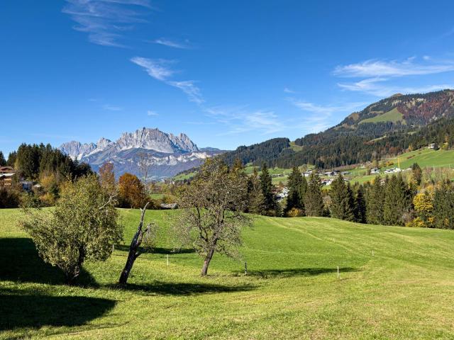 Idyllisches Grundstück mit einzigartiger Kulisse 06283