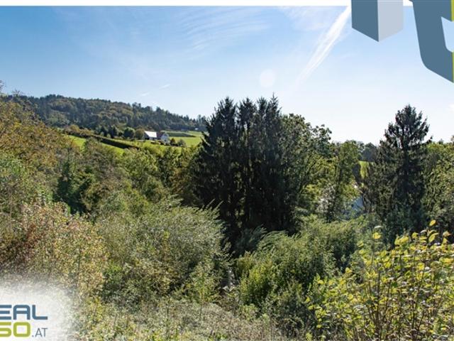 Idyllisches Hanggrundstück mit 8.500 m², nur 13min von Linz entfernt!