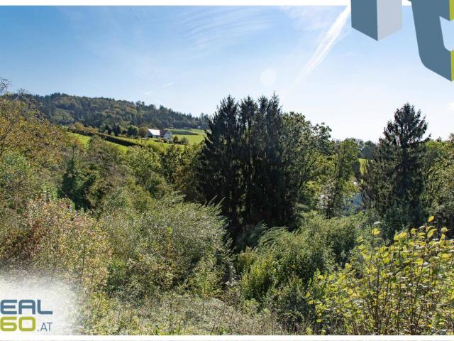 Idyllisches Hanggrundstück mit grandioser Aussicht, 13min von Linz entfernt!