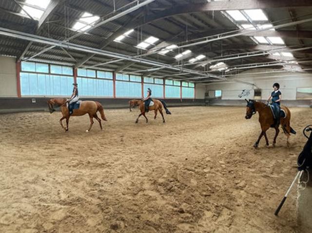 Idyllischer Reitstall am Alten Rhein – ein Platz mit Herz und Geschichte