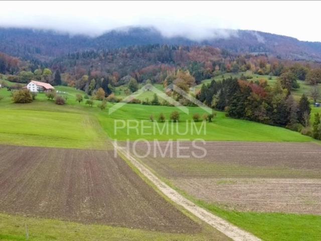 Ihr Traumhaus im Grünen hier haben Sie die beste Gelegenheit dazu