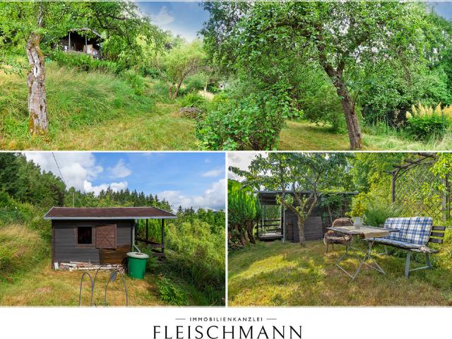 Ihr eigenes Bio Paradies in Suhl: Pestizidfreier Naturgarten mit Holzhaus, Strom & Ganzjahreswasser!